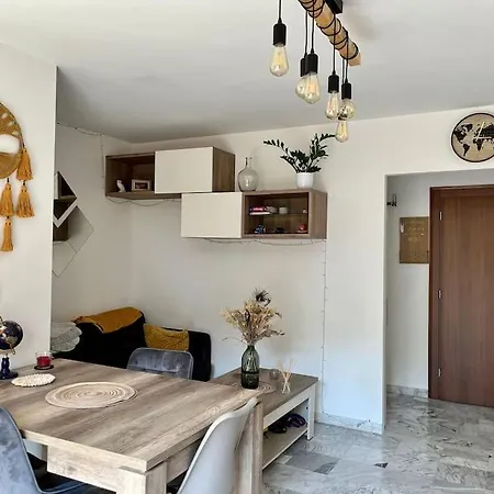 Beau 2 Pieces,terrasse, Parking Centre