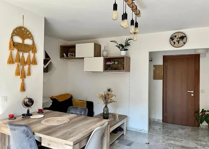 Beau 2 Pieces,terrasse, Parking Centre