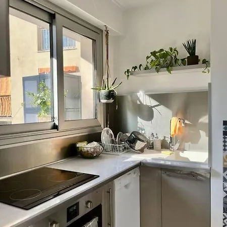 Appartement Beau 2 Pieces,terrasse, Parking Centre *